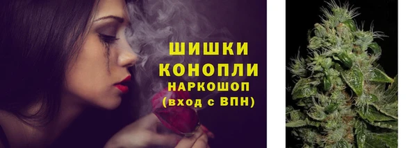 СК Козловка