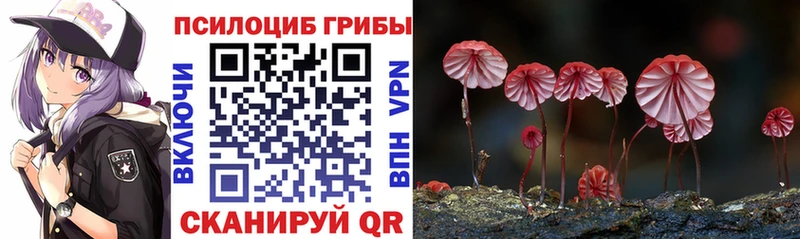 Купить закладки  Велиж  Псилоцибиновые грибы MAGIC MUSHROOMS 